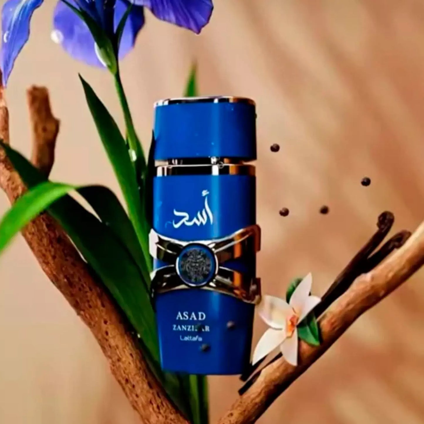 Asad Zanzíbar EDP 100ML Lattafa