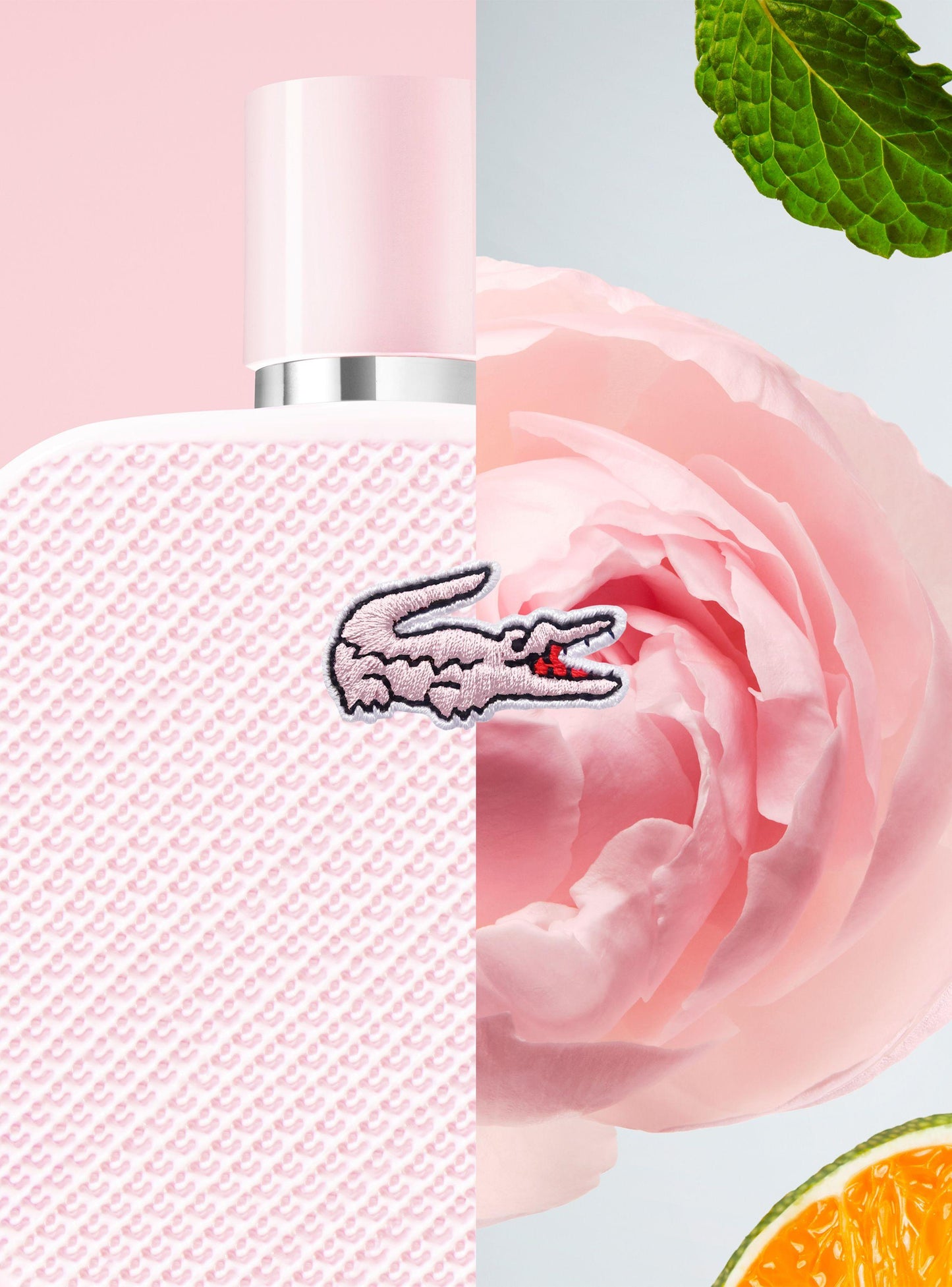 L.12.12 Rose EDP 100 ML - Lacoste