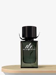 Mr Burberry EDT