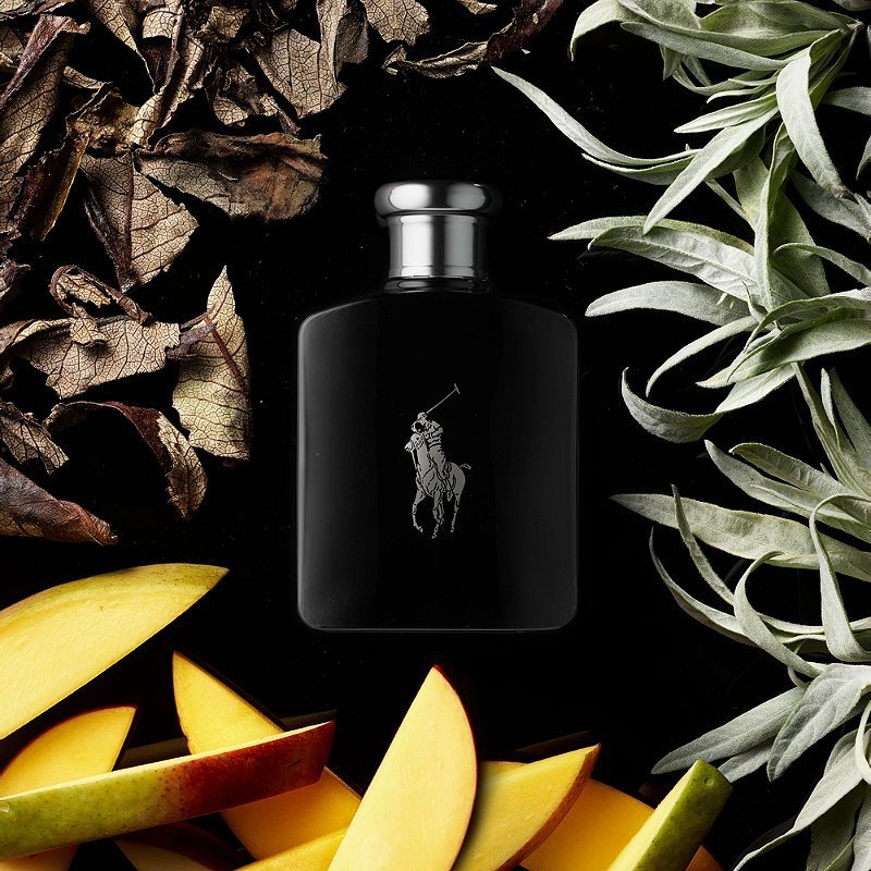 Polo Black EDT 75 ml - Ralph Lauren