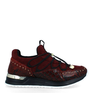 Spartimento Red 690